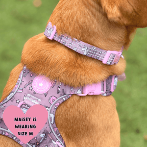 Trail & Glow Adjustable Collar - Colour Drops - Be Unique Unicorn - Bailey and Coco (UK)