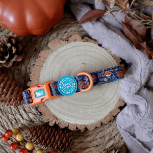 Trail & Glow® Adjustable Collar - COLOUR DROPS® - Bewitched - Bailey and Coco (UK)