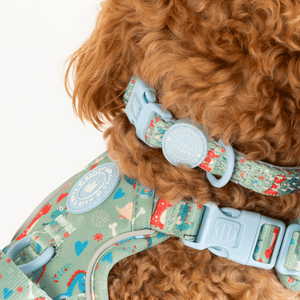 Trail & Glow Adjustable Collar - Colour Drops - Dino Party - Bailey and Coco (UK)