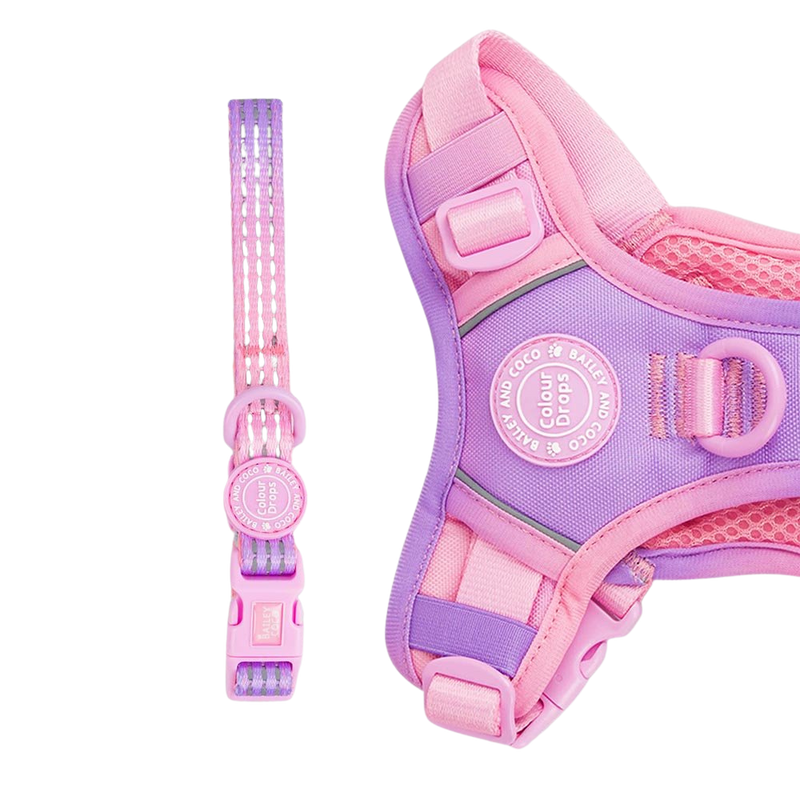 Trail & Glow® Adjustable Collar - COLOUR DROPS® - Love that for you - Bailey and Coco (UK)