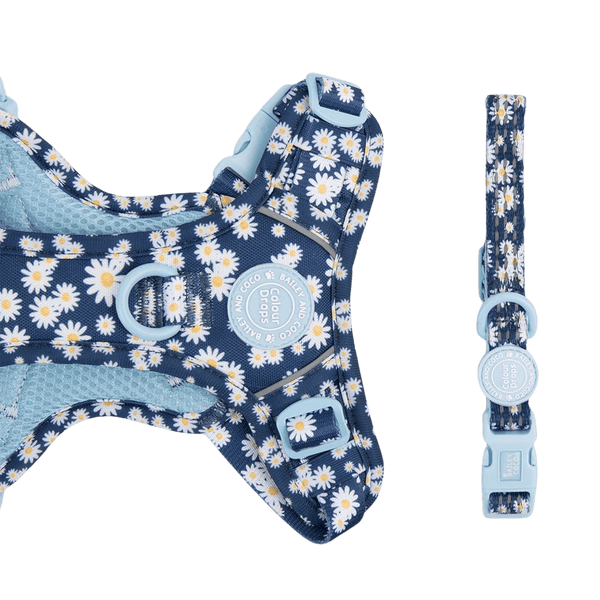 Trail & Glow Adjustable Collar - Colour Drops - Loves me, Loves me not - Bailey and Coco (UK)