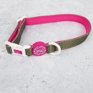 Trail & Glow® Adjustable Collar - COLOUR DROPS® - Olive it Hot - Bailey and Coco (UK)