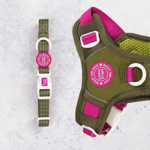 Trail & Glow® Adjustable Collar - COLOUR DROPS® - Olive it Hot - Bailey and Coco (UK)