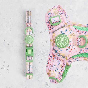 Trail & Glow® Adjustable Collar - COLOUR DROPS® - Pick Me - Bailey and Coco (UK)