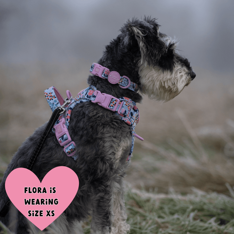 Trail & Glow Adjustable Collar - Colour Drops - Spring Dreams - Bailey and Coco (UK)