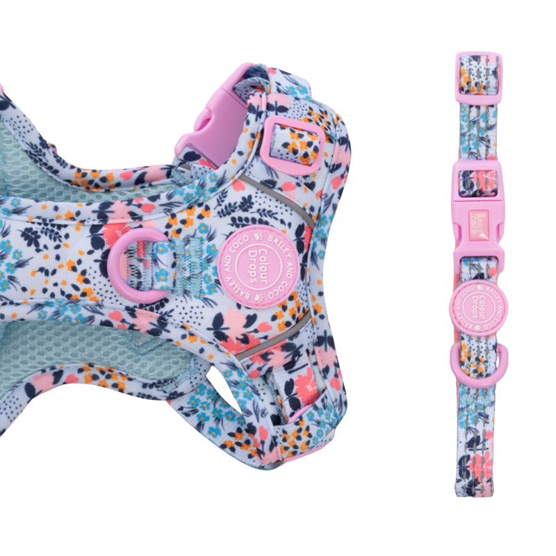 Trail & Glow Adjustable Collar - Colour Drops - Spring Dreams - Bailey and Coco (UK)