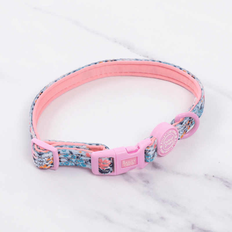 Trail & Glow Adjustable Collar - Colour Drops - Spring Dreams - Bailey and Coco (UK)