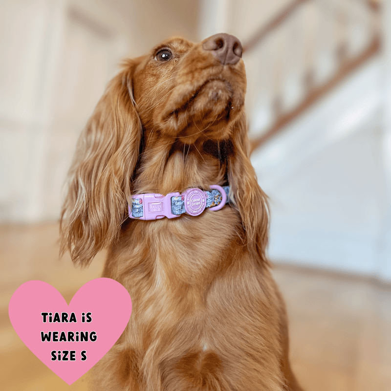Trail & Glow Adjustable Collar - Colour Drops - Spring Dreams - Bailey and Coco (UK)
