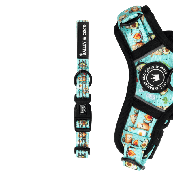 Trail & Glow® Collar - All I Avo Wanted - Bailey and Coco (UK)