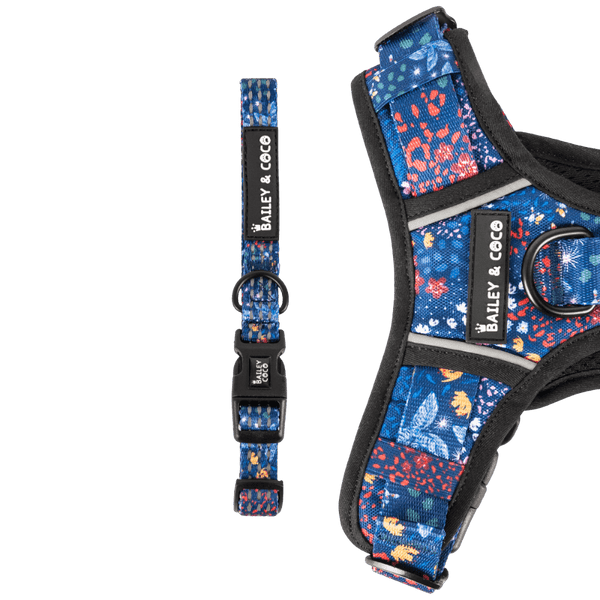 Trail & Glow® Collar - Enchanted - Bailey and Coco (UK)