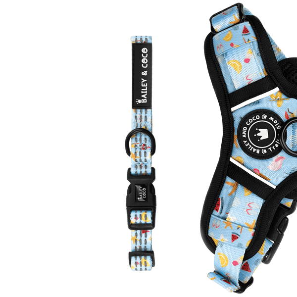 Trail & Glow® Collar - Feels Like Summer - Bailey and Coco (UK)