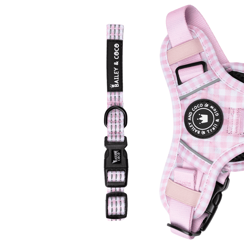 Trail & Glow® Collar - Gingham Dreams - Bailey and Coco (UK)