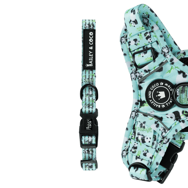 Trail & Glow® Collar - Panda - monium - Bailey and Coco (UK)