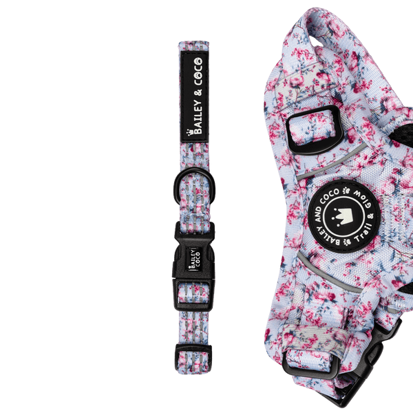 Trail & Glow® Collar: Peony Blossom - Bailey and Coco (UK)