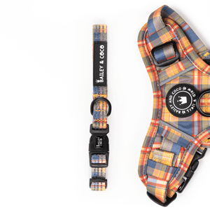 Trail & Glow® Collar - Rustic Tartan - Bailey and Coco (UK)