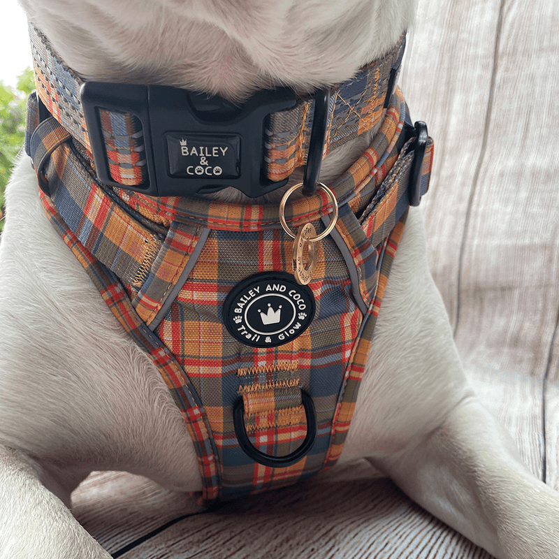 Trail & Glow® Collar - Rustic Tartan - Bailey and Coco (UK)
