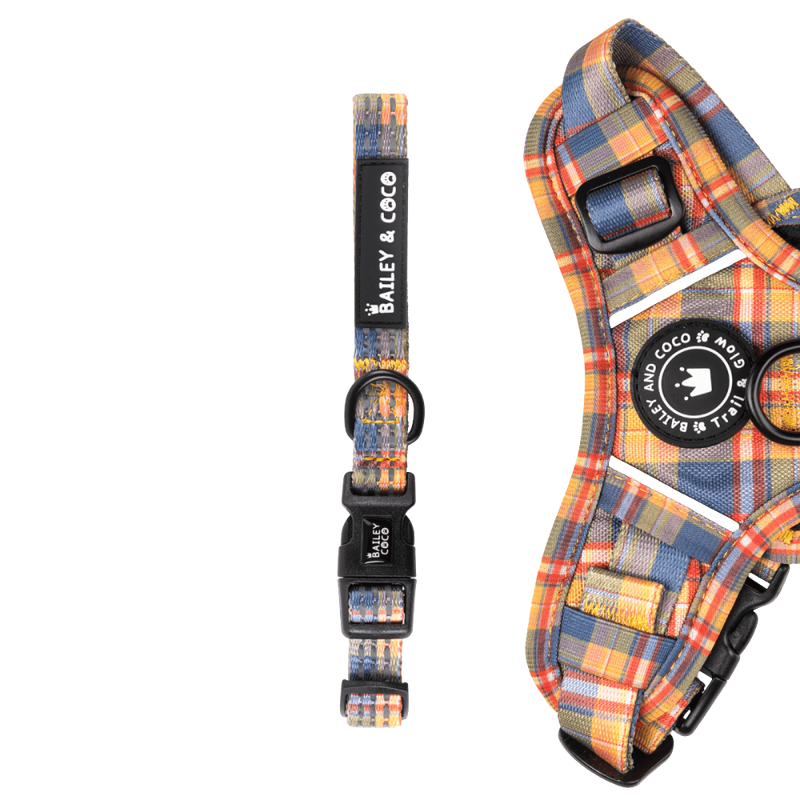 Trail & Glow® Collar - Rustic Tartan - Bailey and Coco (UK)