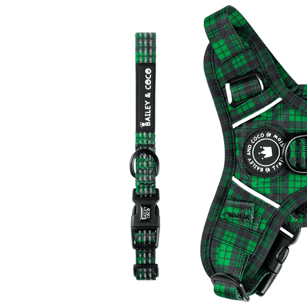 Trail & Glow® Collar - Tartan Green - Bailey and Coco (UK)