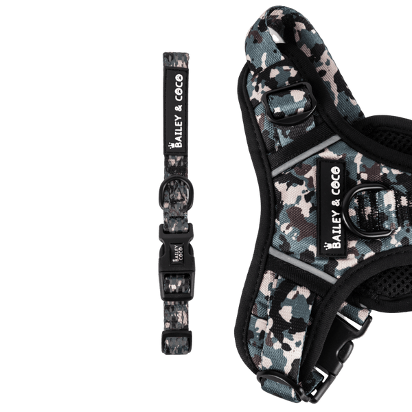 Trail & Glow® Collar - The Camo One - Bailey and Coco (UK)