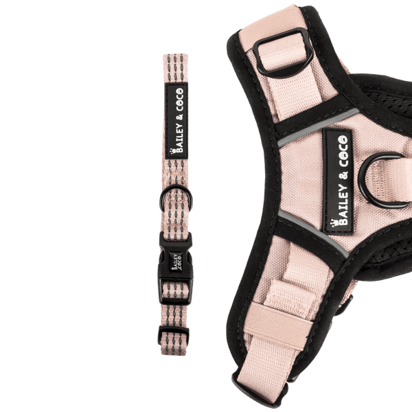 Trail & Glow® Collar - The Champagne One - Bailey and Coco (UK)