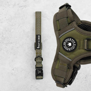 Trail & Glow® Collar - The Khaki One - Bailey and Coco (UK)