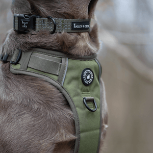 Trail & Glow® Collar - The Khaki One - Bailey and Coco (UK)