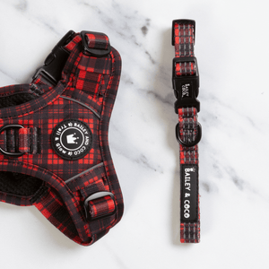 Trail & Glow® Collar - The Red Tartan One - Bailey and Coco (UK)