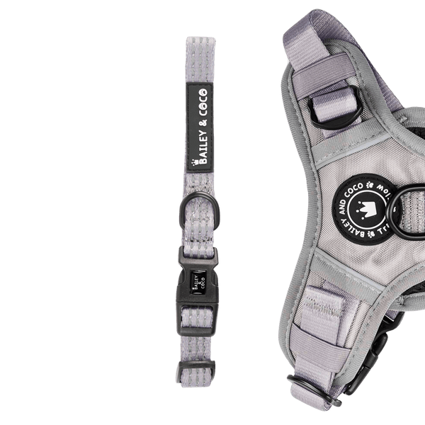 Trail & Glow® Collar - The Silver Grey One - Bailey and Coco (UK)