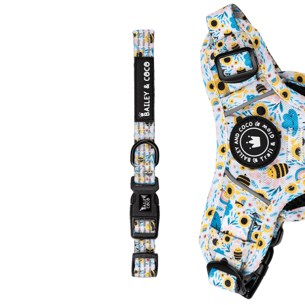Trail & Glow® Collar - Wanna - Bee II - Bailey and Coco (UK)