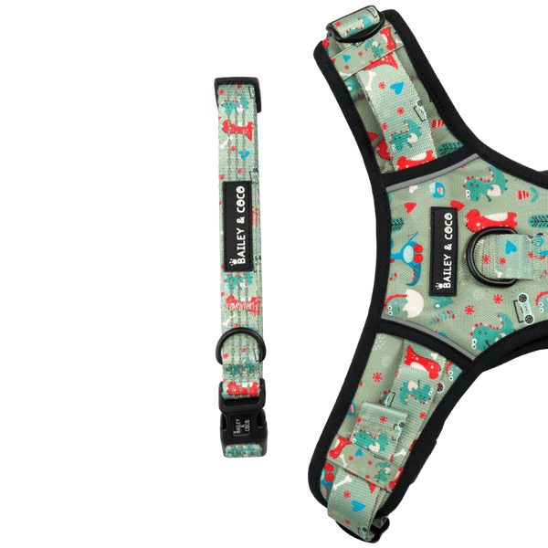 Trail & Glow® Dino Party Collar - Bailey and Coco (UK)