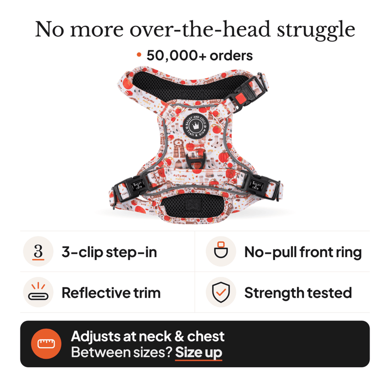 Trail & Glow® Dog Harness - Autumn Magic - Bailey and Coco (UK)