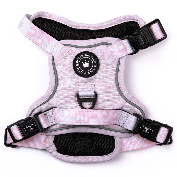 Trail & Glow® Dog Harness - Blush Leopard - Bailey and Coco (UK)