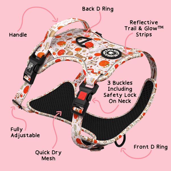 Trail & Glow® Dog Harness Bundle Set - Autumn Magic - alternate view