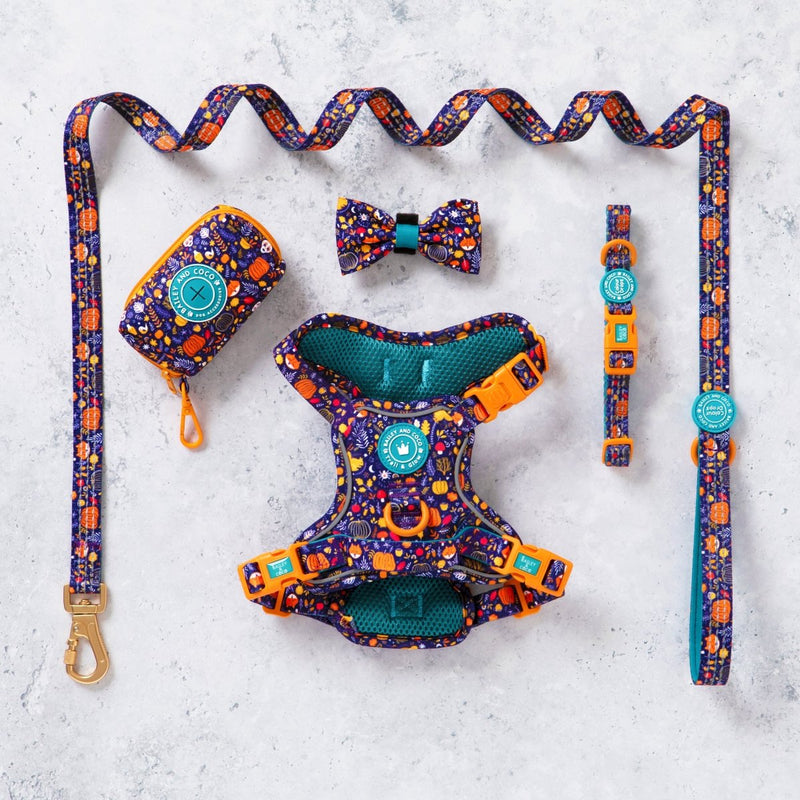 Trail & Glow® Dog Harness Bundle Set - COLOUR DROPS® - Bewitched - Bailey and Coco (UK)