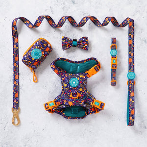 Trail & Glow® Dog Harness Bundle Set - COLOUR DROPS® - Bewitched - Bailey and Coco (UK)