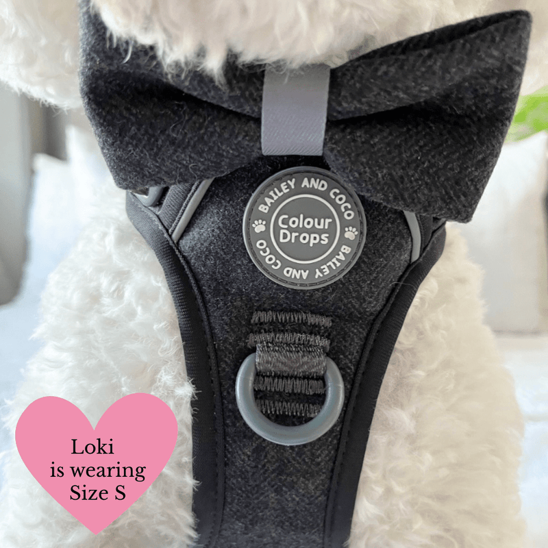 Trail & Glow - Dog Harness Bundle Set - Colour Drops - Charcoal Tweed - Bailey and Coco (UK)