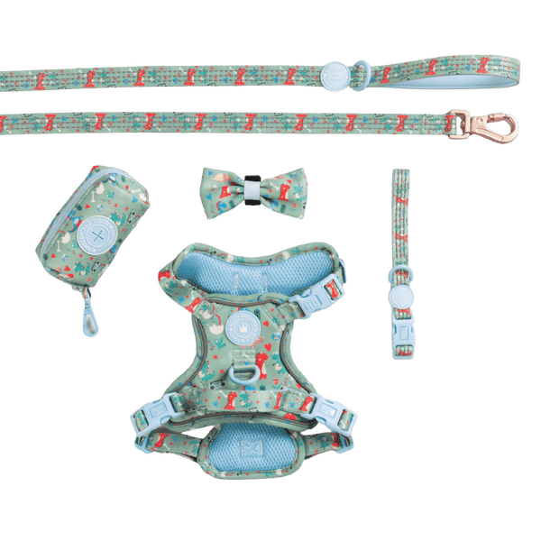 Trail & Glow Dog Harness Bundle Set - Colour Drops - Dino Party - Bailey and Coco (UK)