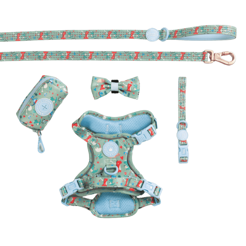 Trail & Glow Dog Harness Bundle Set - Colour Drops - Dino Party - Bailey and Coco (UK)