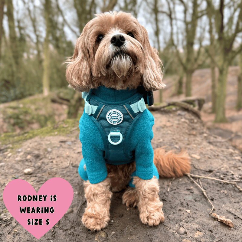 Trail & Glow® Dog Harness Bundle Set - COLOUR DROPS® - Ice Teal - Bailey and Coco (UK)