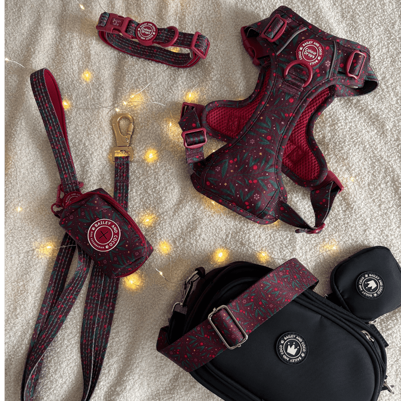 Trail & Glow - Dog Harness Bundle Set - Colour Drops - Jingle Berry - Bailey and Coco (UK)