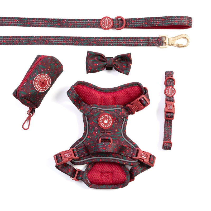 Trail & Glow - Dog Harness Bundle Set - Colour Drops - Jingle Berry - Bailey and Coco (UK)