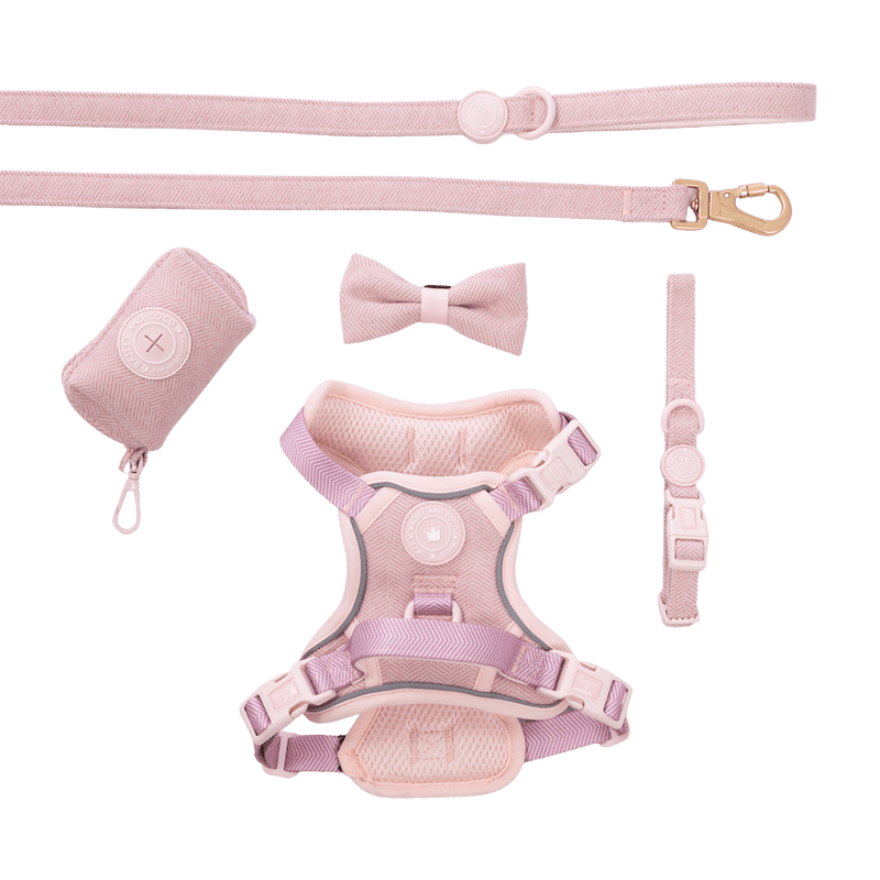 Trail & Glow - Dog Harness Bundle Set - Colour Drops - Lavender Tweed - Bailey and Coco (UK)