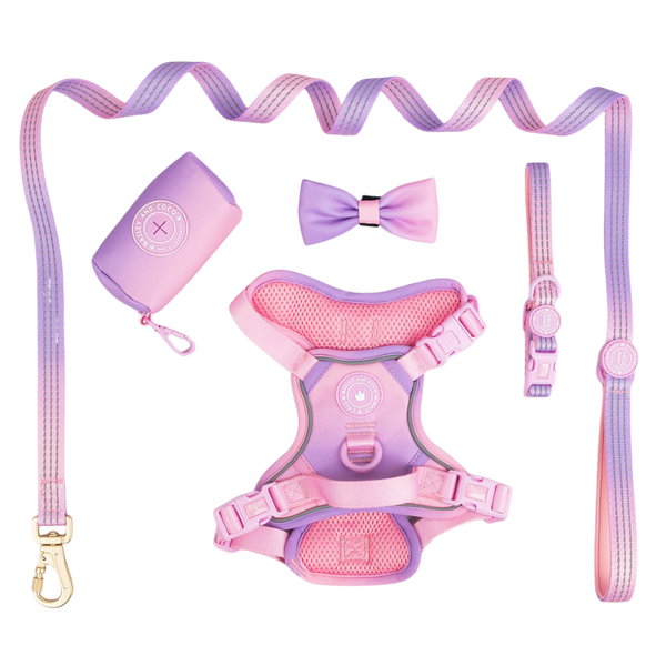 Trail & Glow® Dog Harness Bundle Set - COLOUR DROPS® - Love that for you - Bailey and Coco (UK)