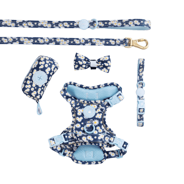 Trail & Glow Dog Harness Bundle Set - Colour Drops - Loves me, Loves me not - Bailey and Coco (UK)