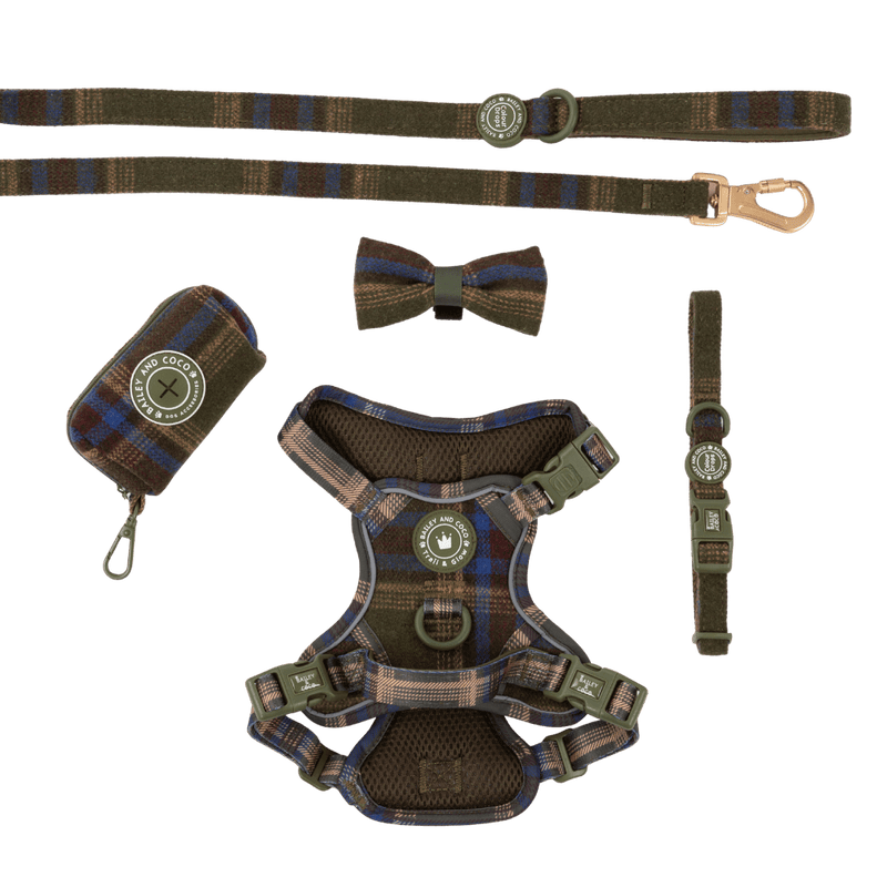 Trail & Glow - Dog Harness Bundle Set - Colour Drops - Mayfair Tweed - Bailey and Coco (UK)