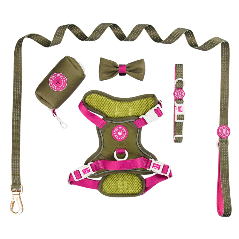 Trail & Glow® Dog Harness Bundle Set - COLOUR DROPS® - Olive it Hot - Bailey and Coco (UK)