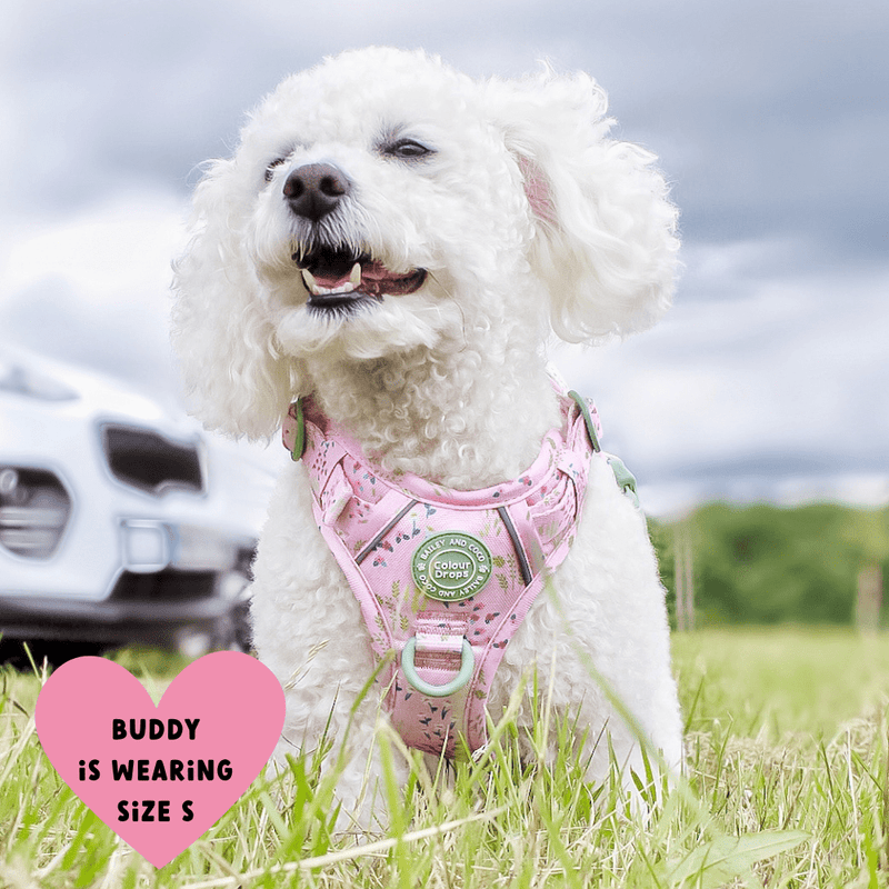 Trail & Glow® Dog Harness Bundle Set - COLOUR DROPS® - Pick Me - Bailey and Coco (UK)