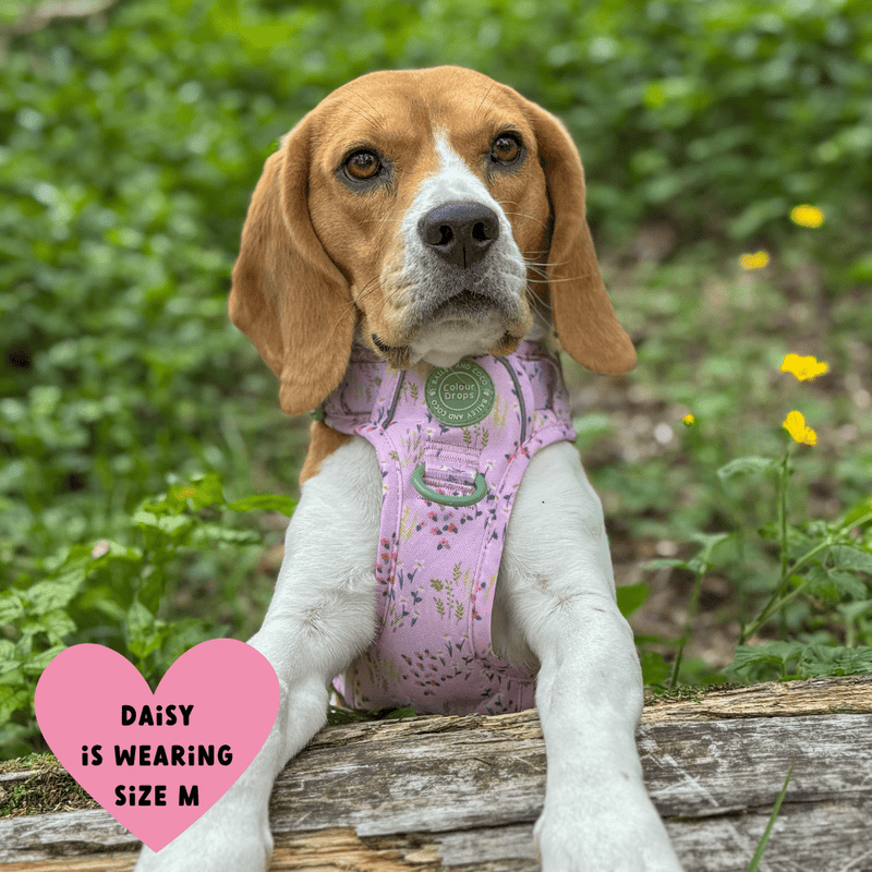 Trail & Glow® Dog Harness Bundle Set - COLOUR DROPS® - Pick Me - Bailey and Coco (UK)