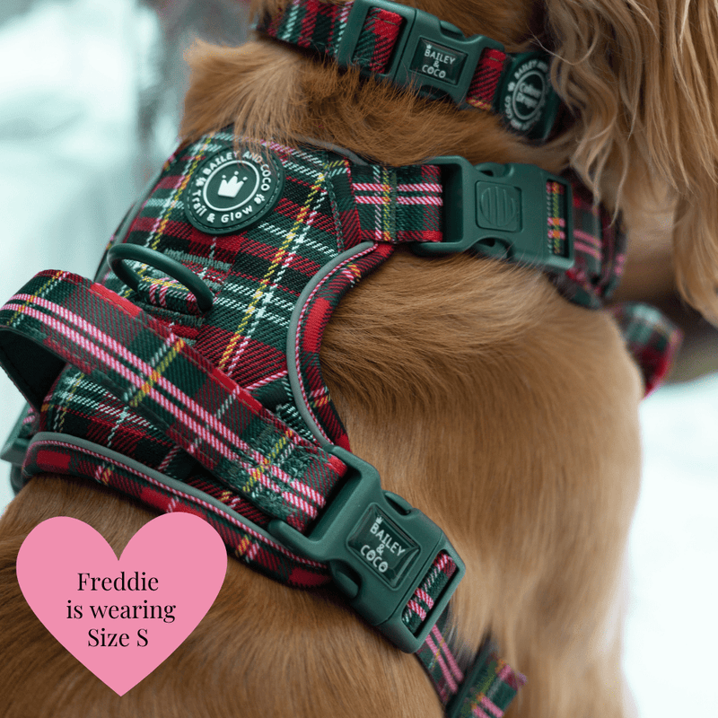 Trail & Glow - Dog Harness Bundle Set - Colour Drops - Red Highland Tartan - Bailey and Coco (UK)