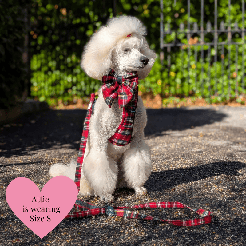 Trail & Glow - Dog Harness Bundle Set - Colour Drops - Red Highland Tartan - Bailey and Coco (UK)